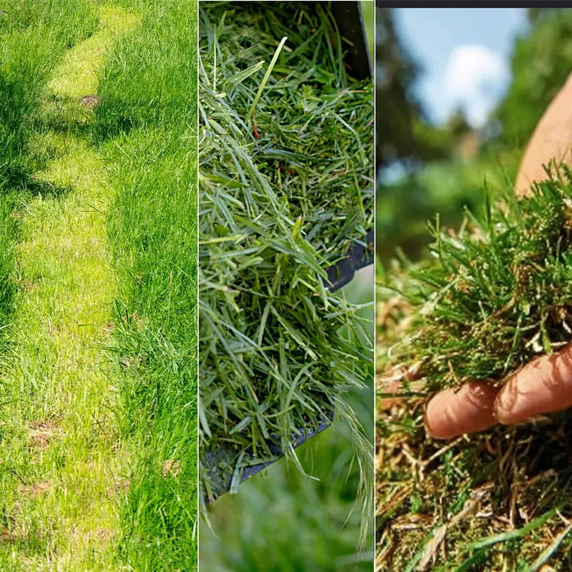 Cecotec E7 Liberty Z Plus 20V Cordless Lawn Mower - 43cm Cutting Width, 45L Capacity, 20-70mm Width Adjustment, 2 Pieces, Blue 6