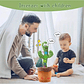 Interactive Dancing and Talking Cactus | Sing, Imitate Voices, Record, 120 Songs | Gift for Children - thumbnail 5