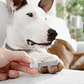 Nail clipper for dogs and cats with LED light - Clipet, safe and with a holder | InnovaGoods - thumbnail 2