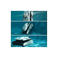 Robô Piscina Cecotec PoolDroid 10000 | c/ Comando, AquaSkater | Limpa Tudo - Thumbnail 15