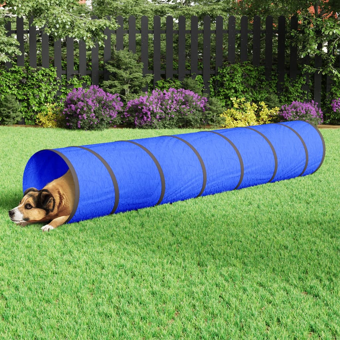 vidaXL Túnel para cães Ø 50x300 cm poliéster azul 1