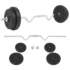 vidaXL Conjunto com barra 30 Kg