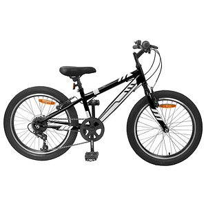 vidaXL Bicicleta de Montanha 20 Polegadas 6-Speed para 5-8 anos Preto