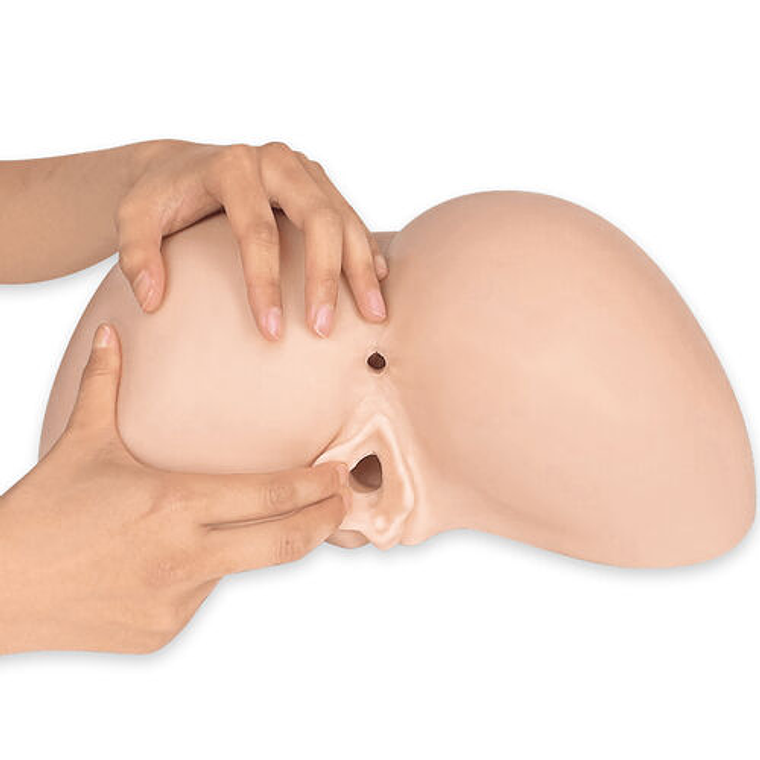 SILEXD Daphne: A Bunda Masturbadora Hiper-Realista com Tecnologia Termoativa SILEXPAN™ 2