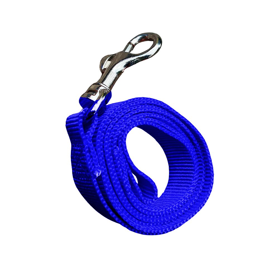 Set de Correa y Arnés Viajero para Mascotas - Talla M - Azul 2