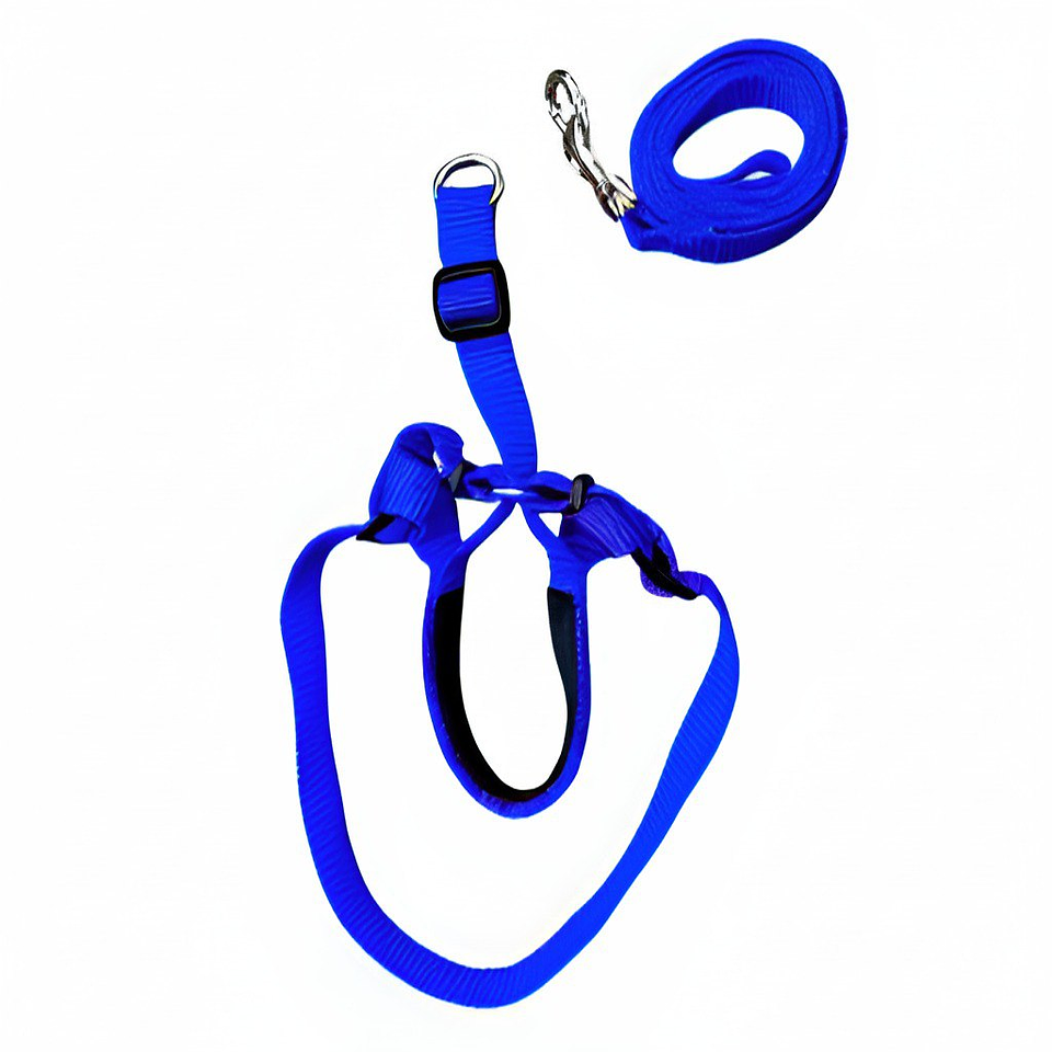 Set de Correa y Arnés Viajero para Mascotas - Talla M - Azul 5
