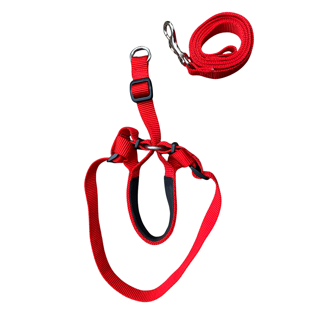 Correa Viajera Color Rojo para Mascota Talla L 2