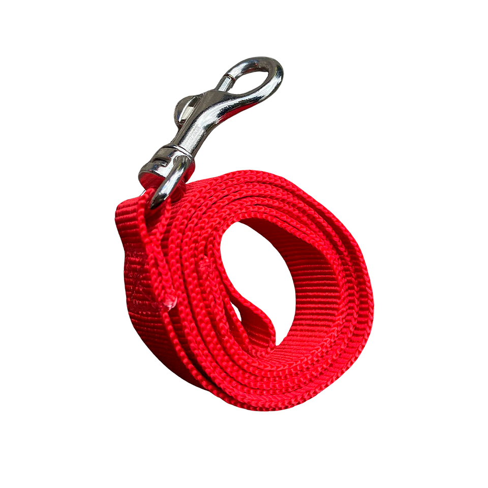 Correa Viajera Color Rojo para Mascota Talla L 3