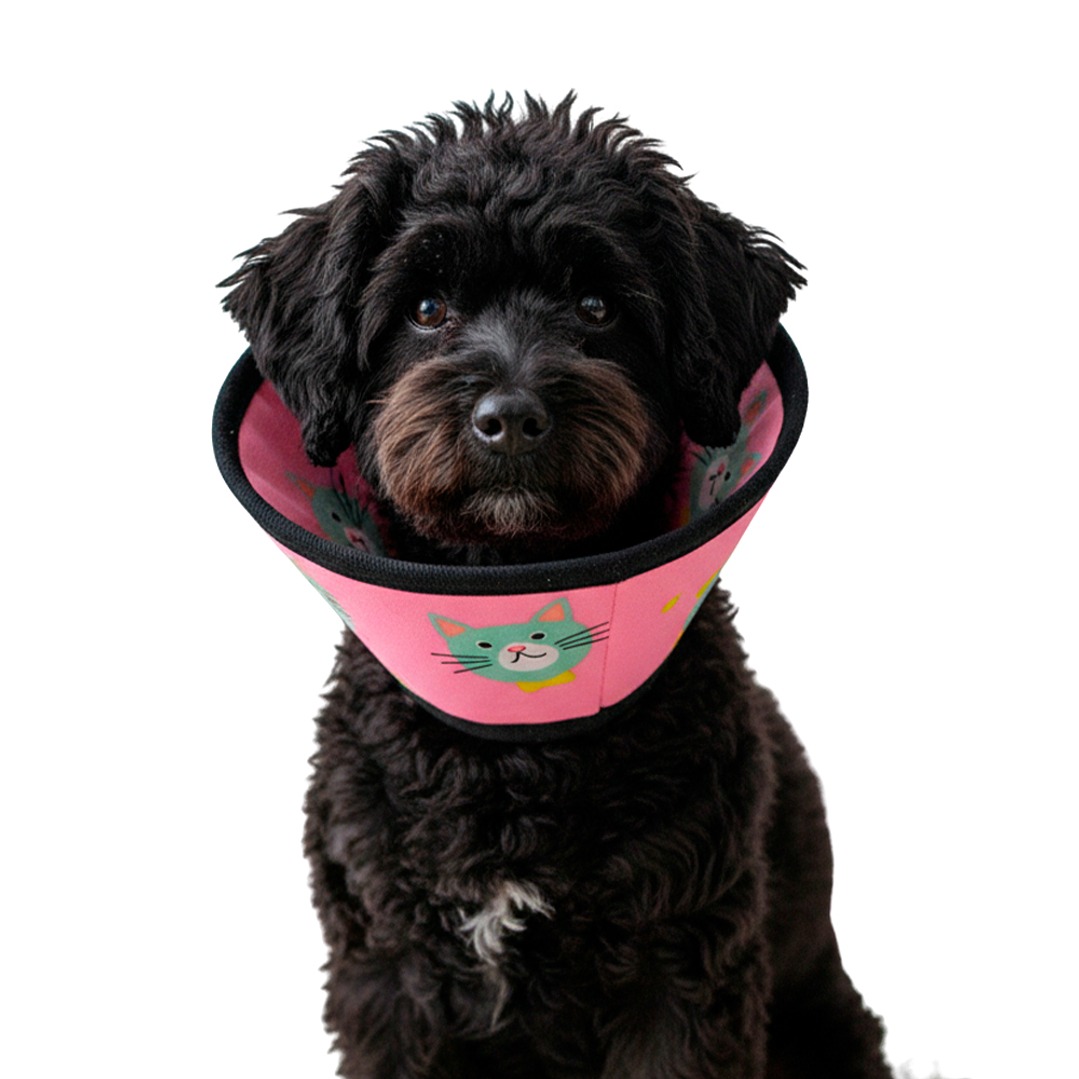 Cono para Mascota Color Rosa con Diseño de Gatos Talla 2 1