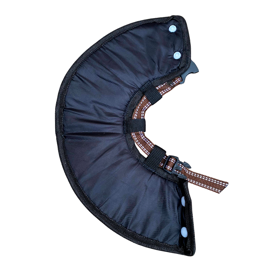 Cono para Mascota Color Rosa con Diseño de Gatos Talla 2 7