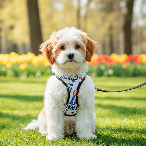 Pechera Básica para Mascotas Color Blanco Talla XS