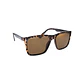 Gafas de Sol Polarizado TOMMY HILFIGER OUTLOOK X62220 Marron Unisex Talla 56mm - Miniatura 4