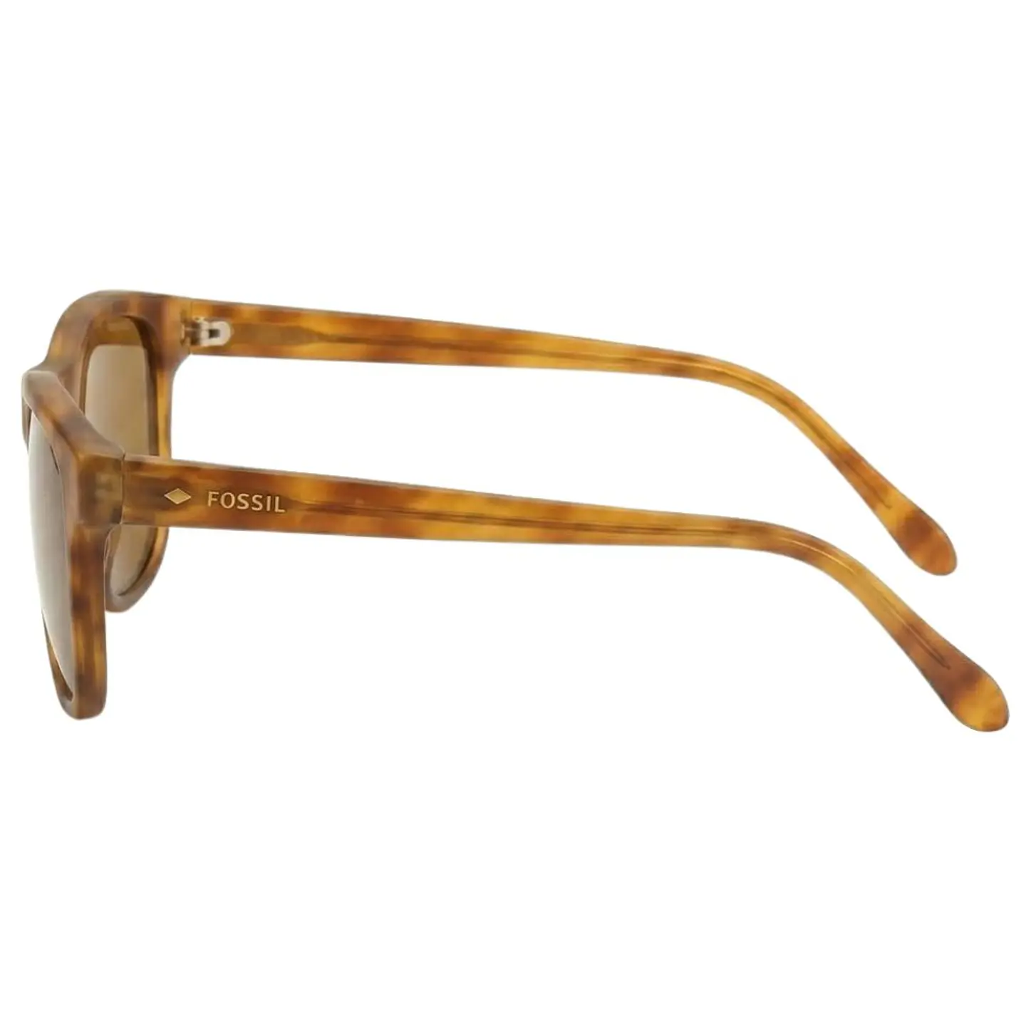 Gafas de Sol FOSSIL OUTLOOK X80101 Marron Hombre Talla 58mm 3