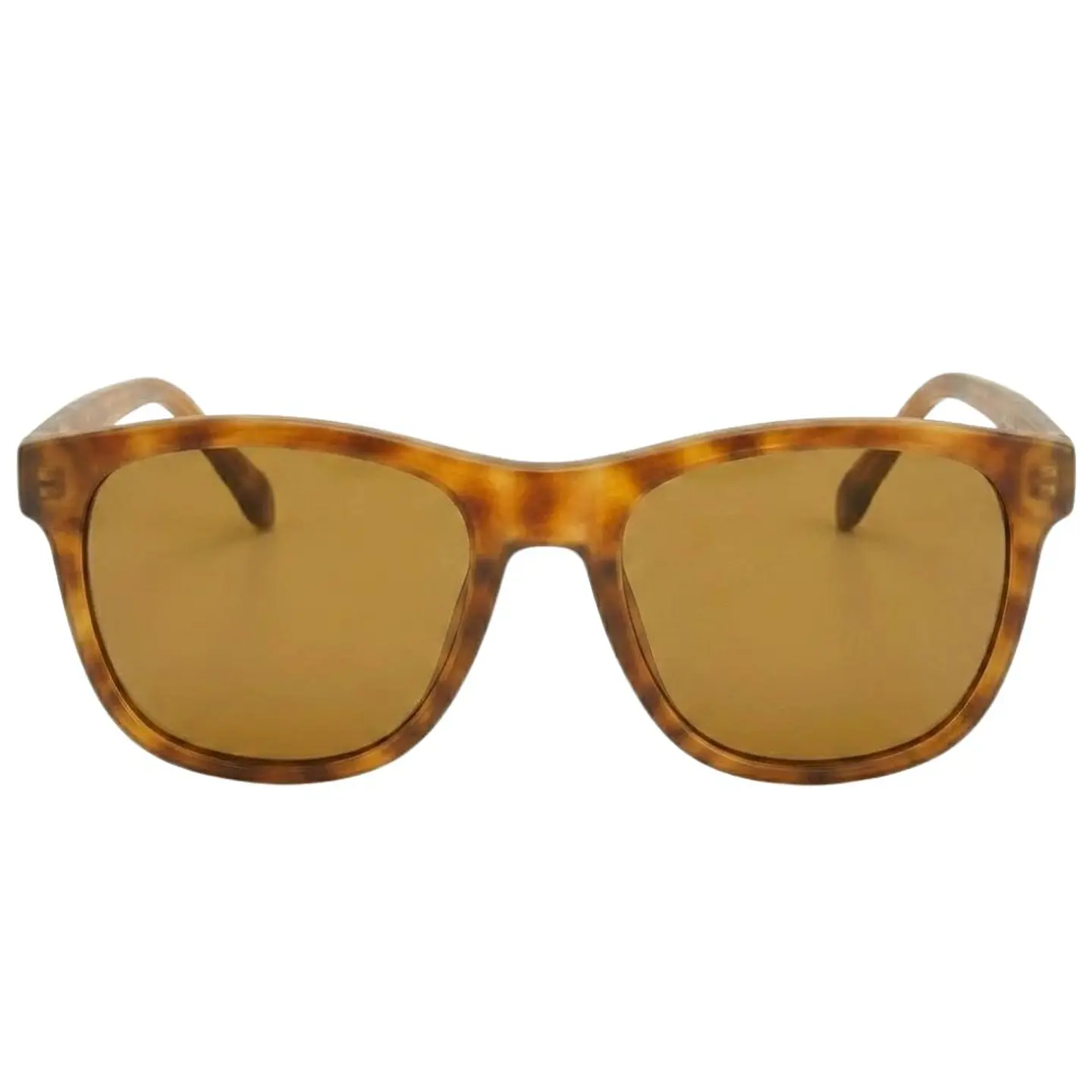 Gafas de Sol FOSSIL OUTLOOK X80101 Marron Hombre Talla 58mm 4