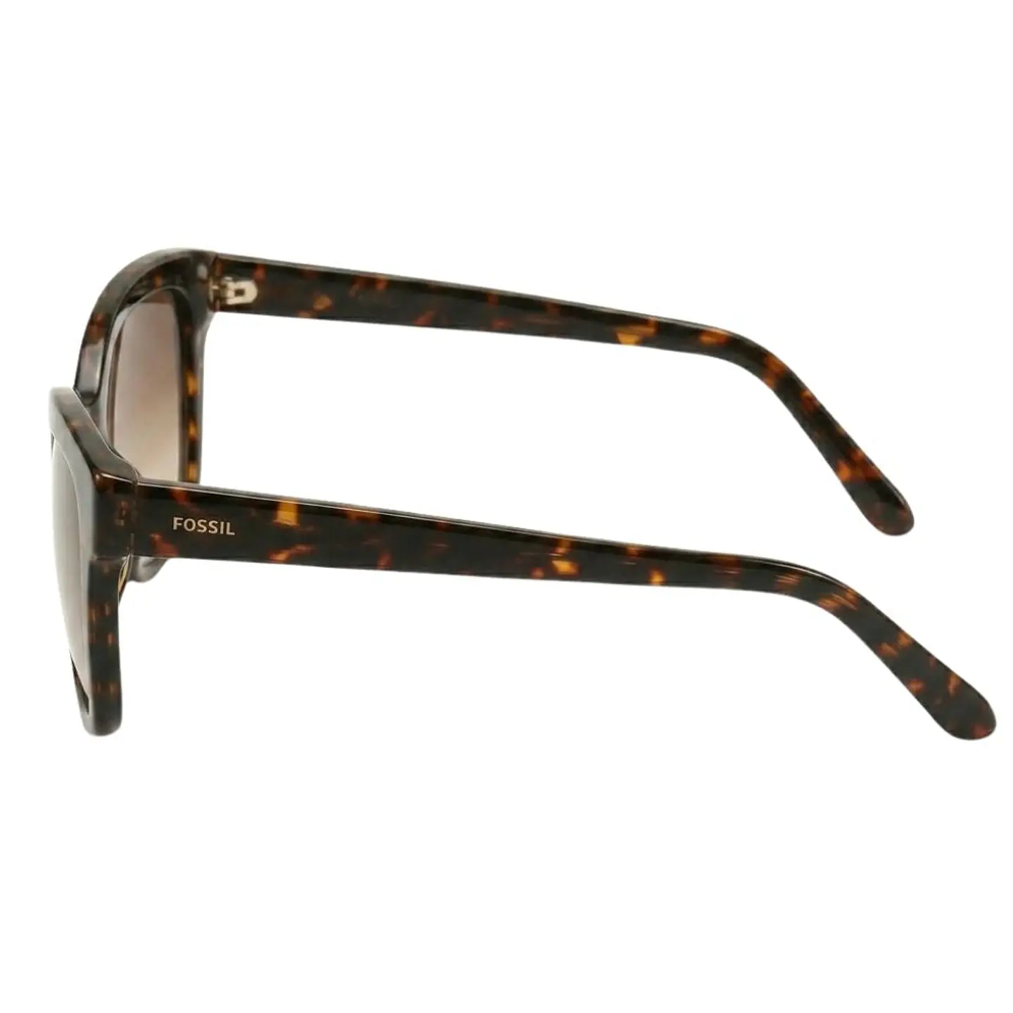 Gafas de Sol FOSSIL OUTLOOK X82631 Marron Degrade Mujer Talla 54mm 3