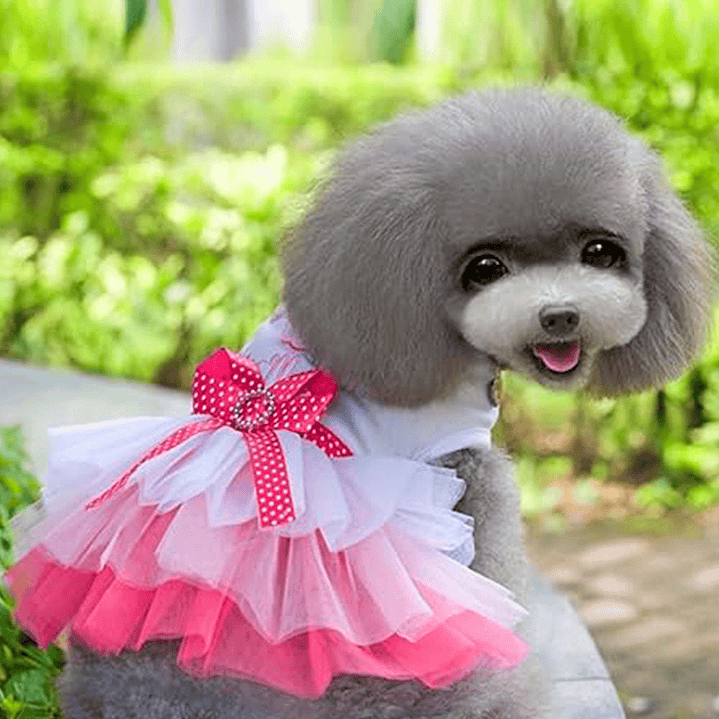 Disfraz para Perro Vestido Princesa Rosado y Azul 2