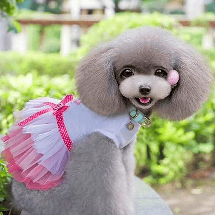 Disfraz para Perro Vestido Princesa Rosado y Azul 3