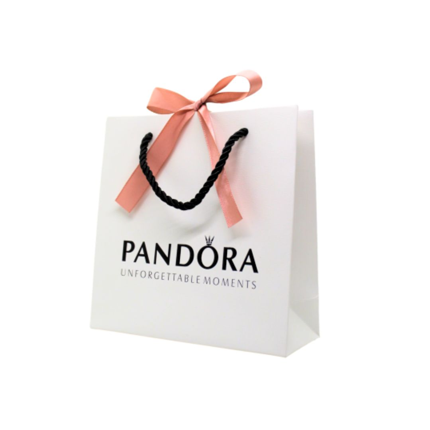 Cadena de Seguridad Pandora con Logo Pandora y Circonica Cubica 792057cz en Plata 925 6