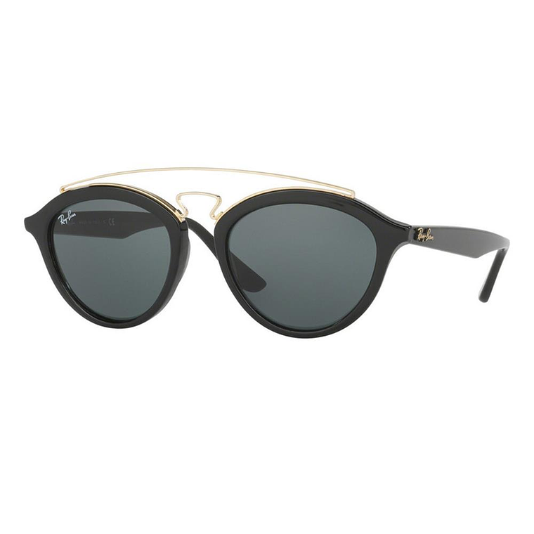 Lentes de Sol Ray Ban Gatsby II RB4257 601/71 Color Negro Talla 53mm 1