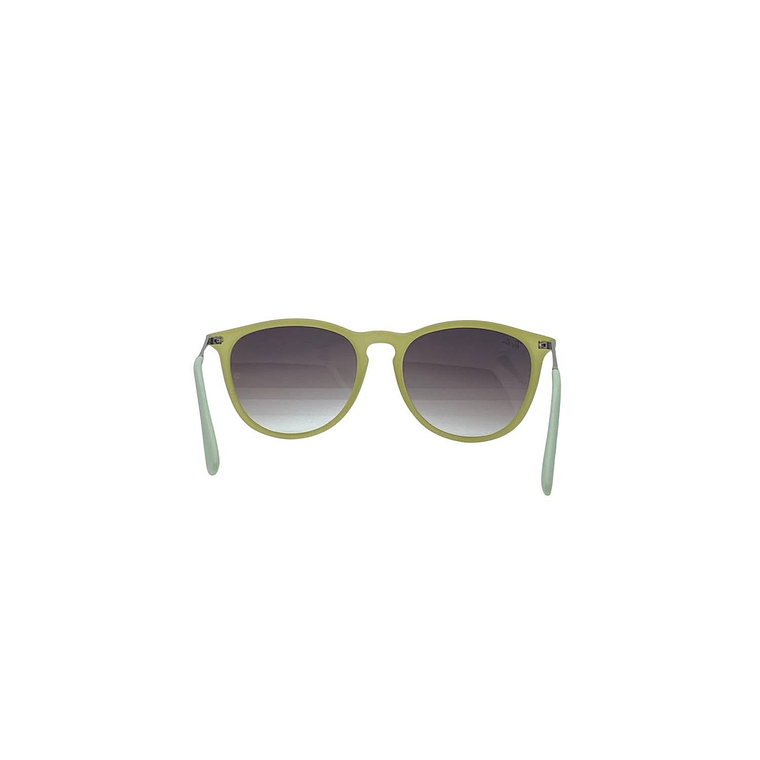 Lentes de Sol Ray Ban Erika RB4171 871/8E Color Verde Talla 54mm 4