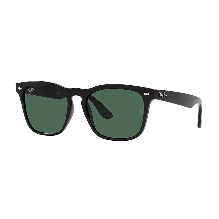 Lentes de Sol Ray Ban Steve RB4487 6629/71 Color Negro Talla 54mm 1