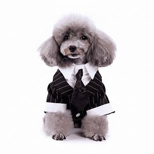 Disfraz para Perro Traje de Boda Negro y Blanco