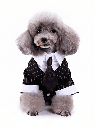 Disfraz para Perro Traje de Boda Negro y Blanco