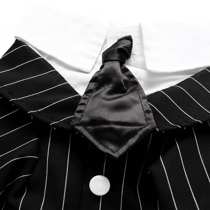 Disfraz para Perro Traje de Boda Negro y Blanco 6