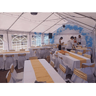 Carpa ELITE 10×5 para Eventos | PVC Impermeable Reforzado – NG Home 12