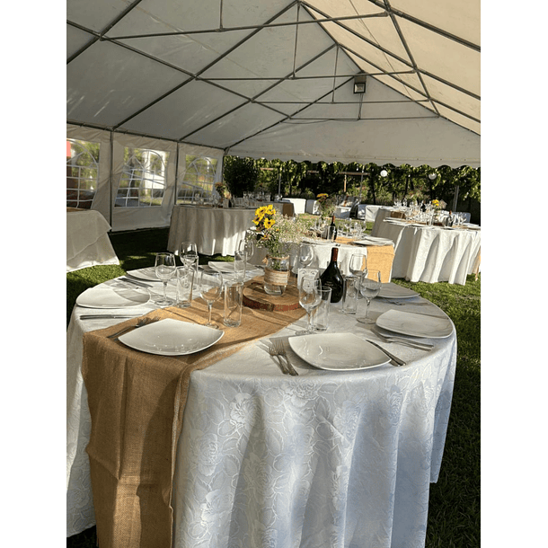 Carpa ELITE 14x7 Impermeable para Eventos - PVC Alta Resistencia | NG Home 7
