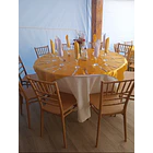 Silla Chiavari Para Eventos Dorada | NG Home 6