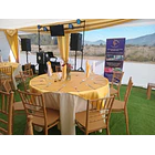 Silla Chiavari Para Eventos Dorada | NG Home 7