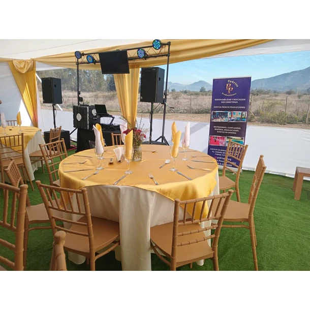 Silla Chiavari Para Eventos Dorada | NG Home 7