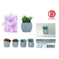 PLANTAS DR-1133AN Suculentas