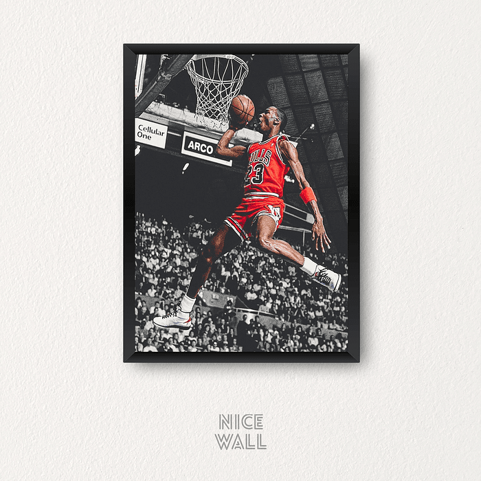 Cuadro Michael Jordan