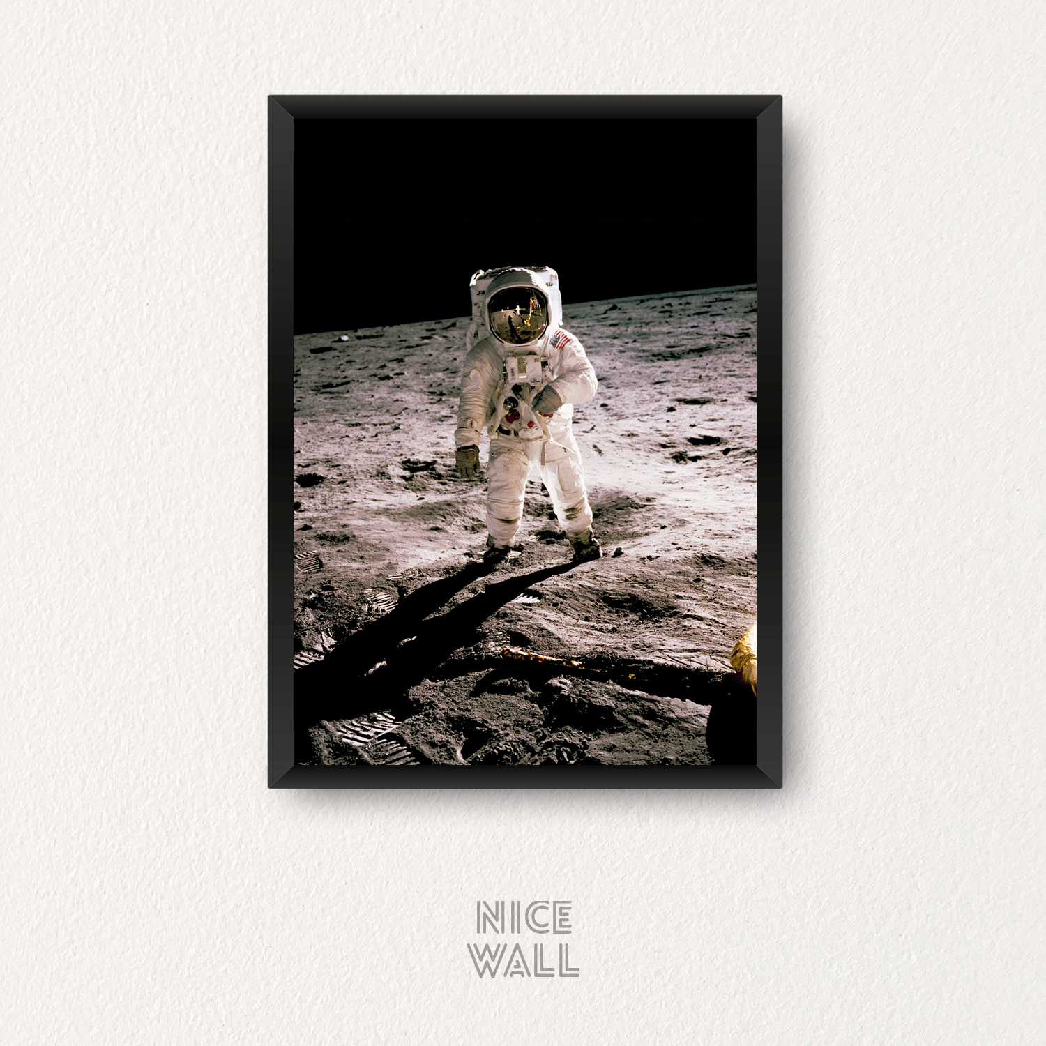 Cuadro Astronauta