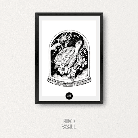 Cuadro Cúpula Tortuga