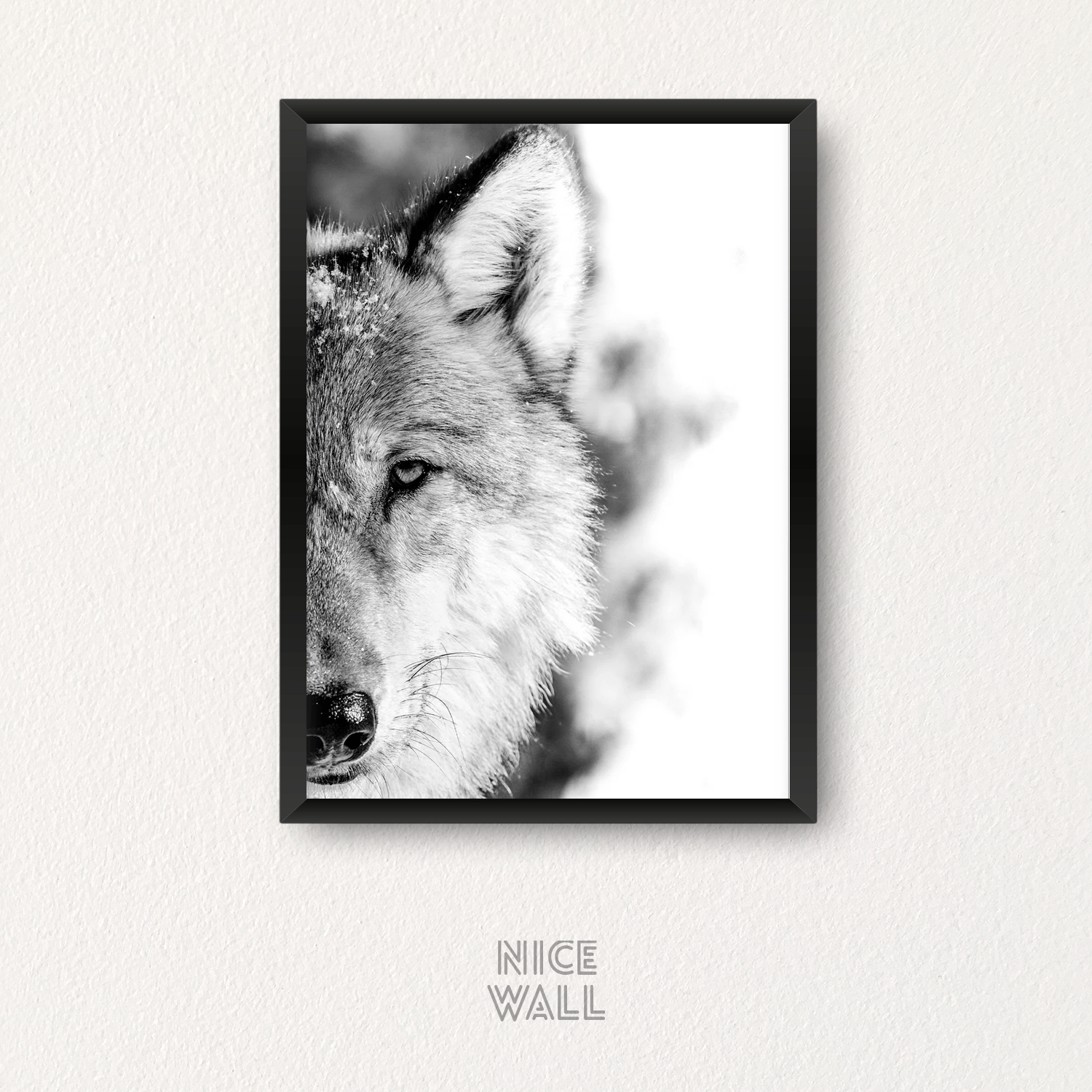 Cuadro Lobo Blanco & Negro
