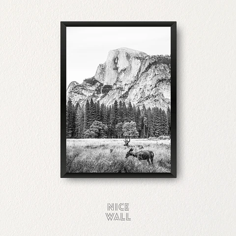 Cuadro Yosemite Park Uno