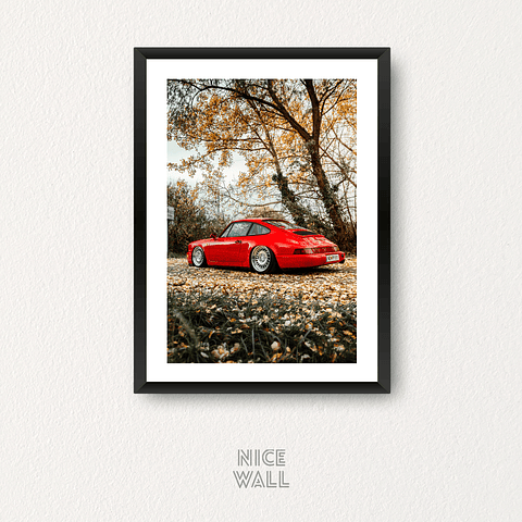 Cuadro Porsche Carrera RS