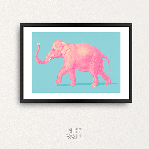 Cuadro Elefante Rosado