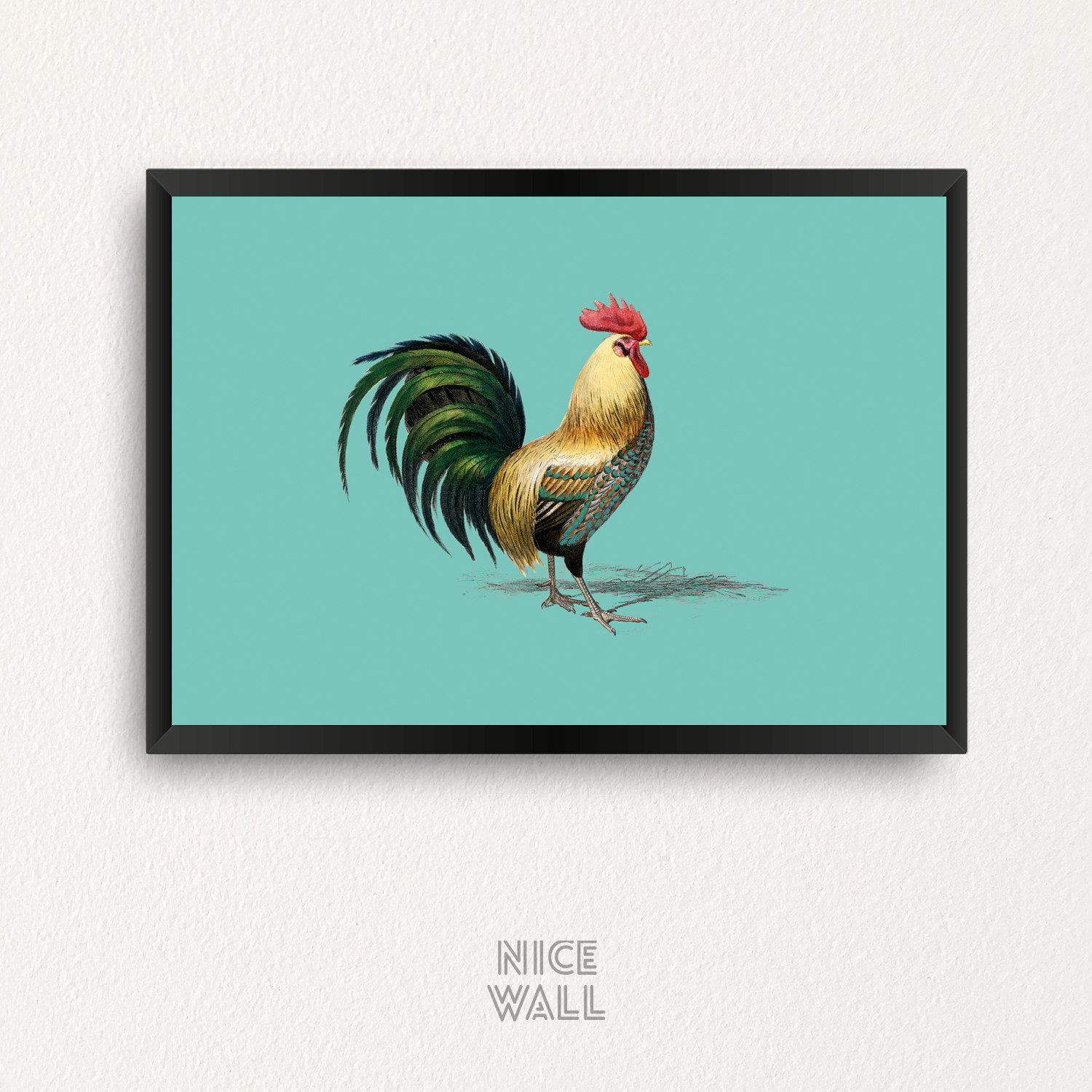 Cuadro Gallo