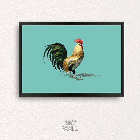 Cuadro Gallo