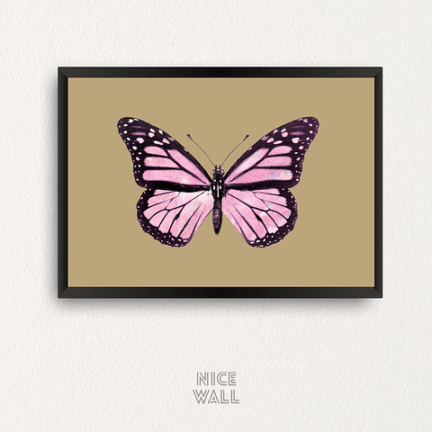 Cuadro Mariposa Rosada