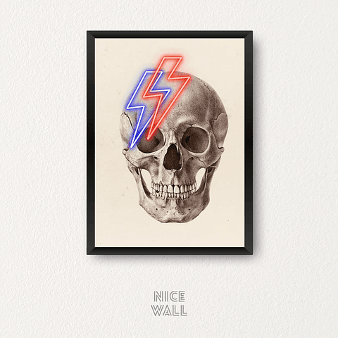 Cuadro Cráneo Rayos