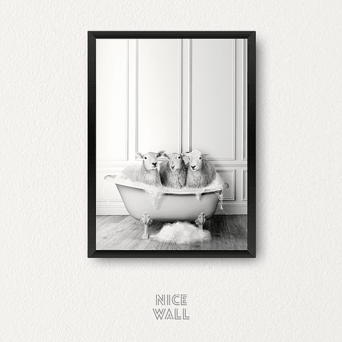 Cuadro Ovejas Bañera Blanco & Negro