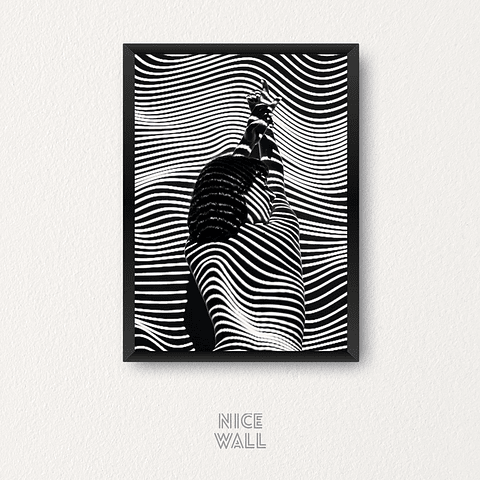 Cuadro Curvas y Sombras