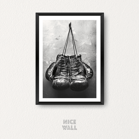 Cuadro Guantes Box