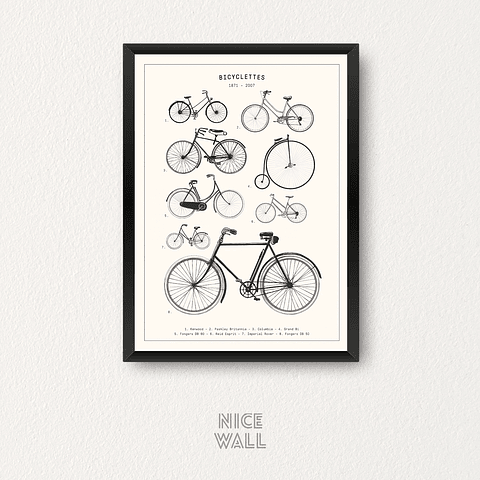 Cuadro Bicicletas 1871 - 2007