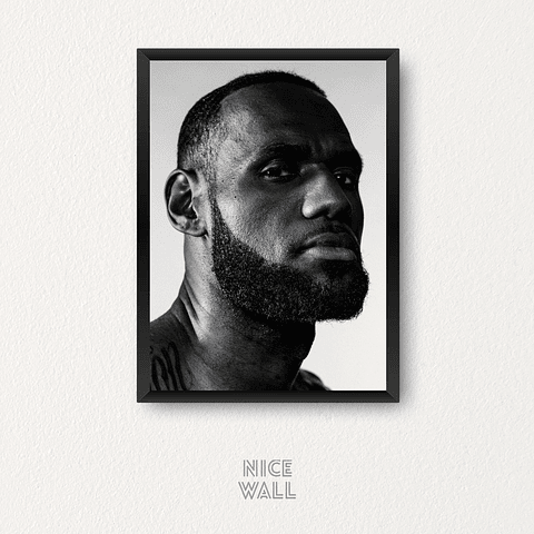 Cuadro Lebron James